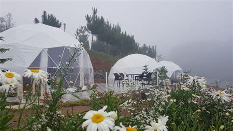 where to stay in bukidnon|Where to Stay in Bukidnon: Taglucop Strawberry Hills .